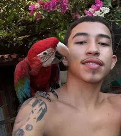 erteno cearense 