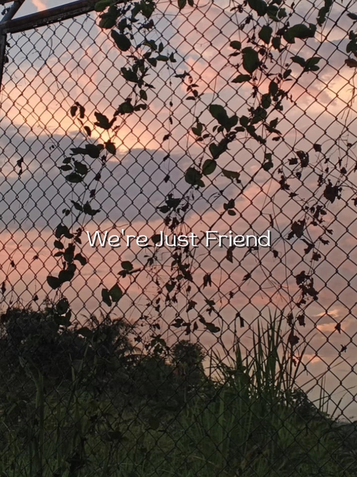 We're Just Friend 