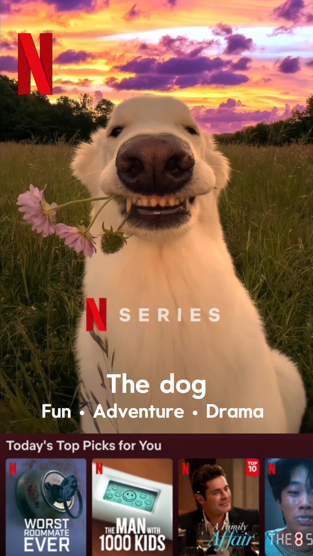 Netflix Poster 