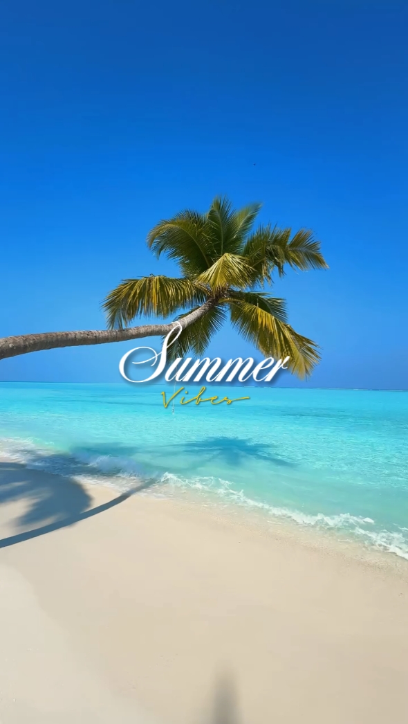 Vibraciones de verano 