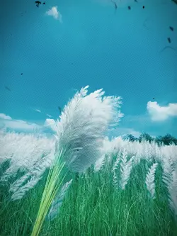 sad slowmotion