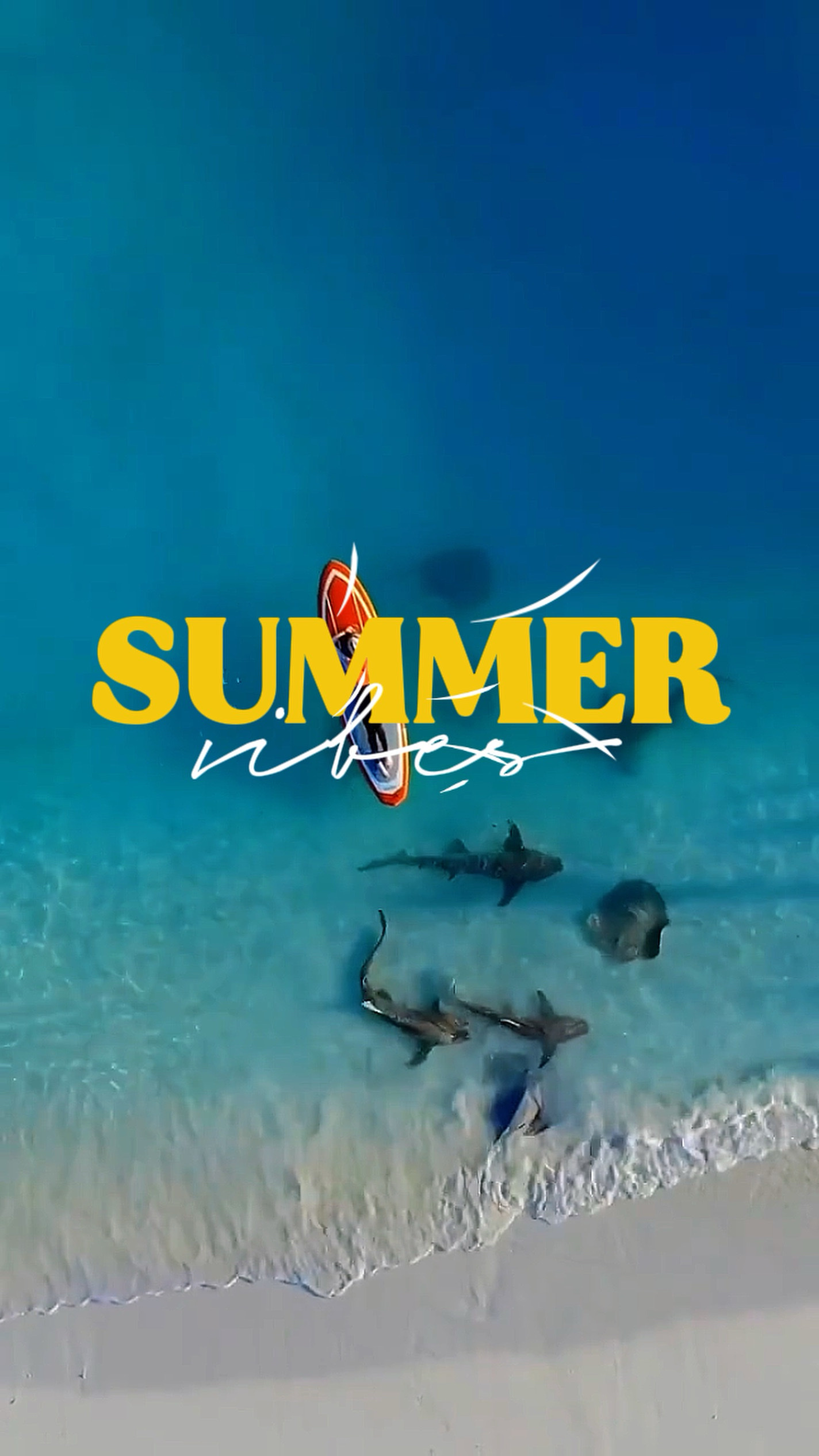 SUMMER VIBES