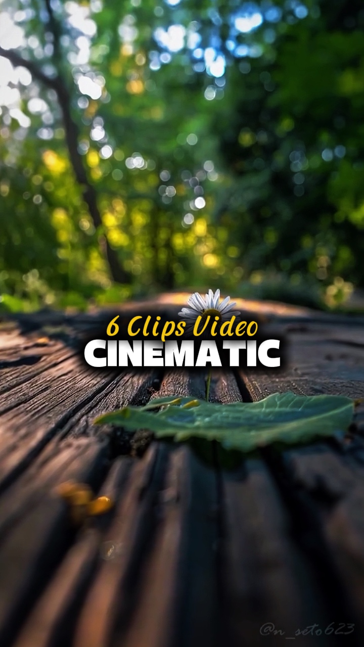 6 Clips Video