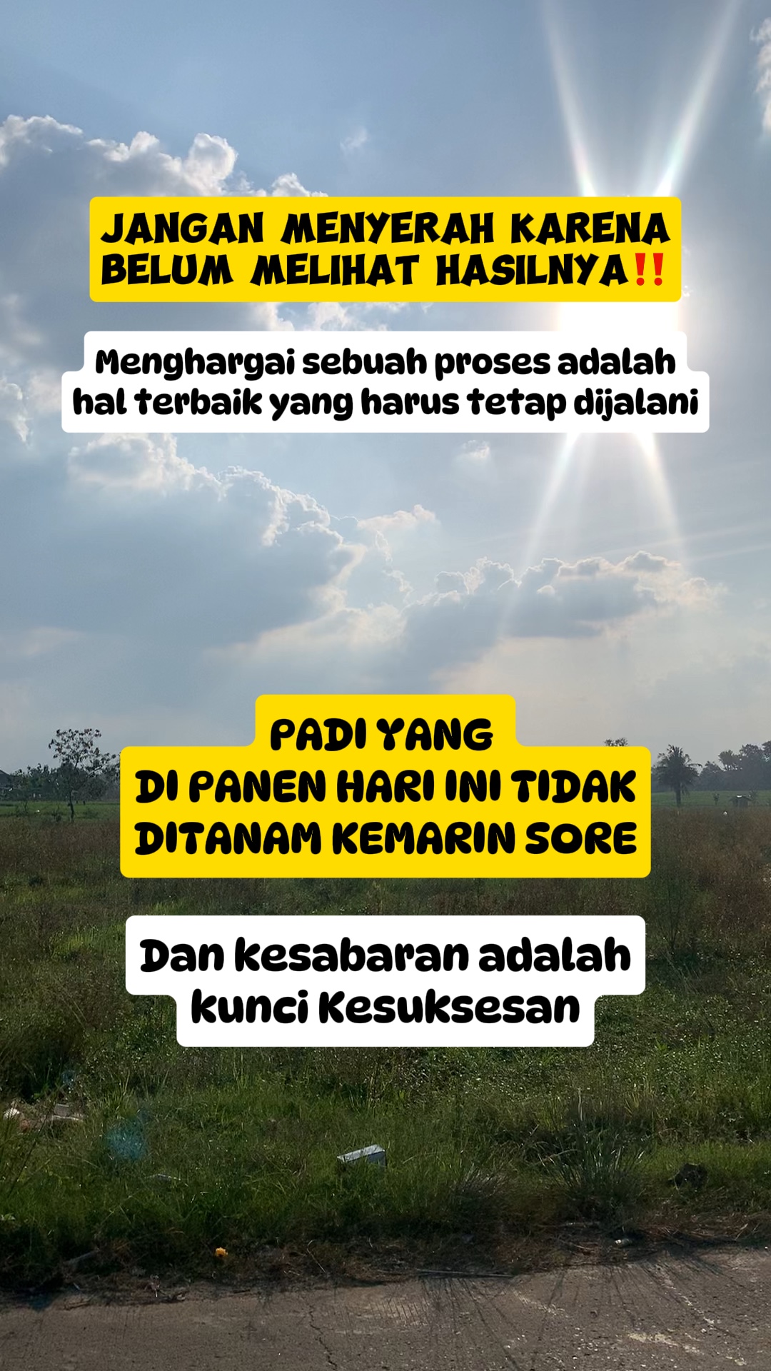 Fyp konten fb
