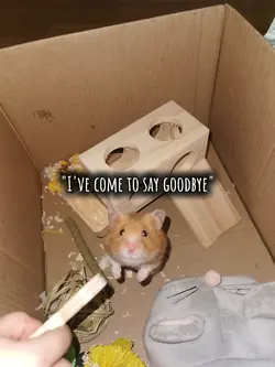 Goodbye