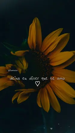 musicas