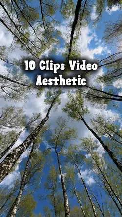 10 Clips Video
