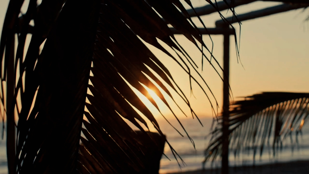 CINEMATIC 