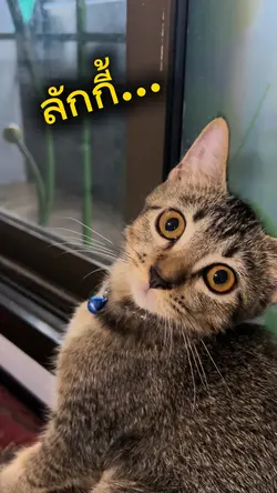 อยากออกไปข้างนอก