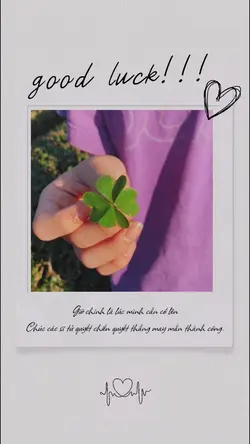good luck 🍀
