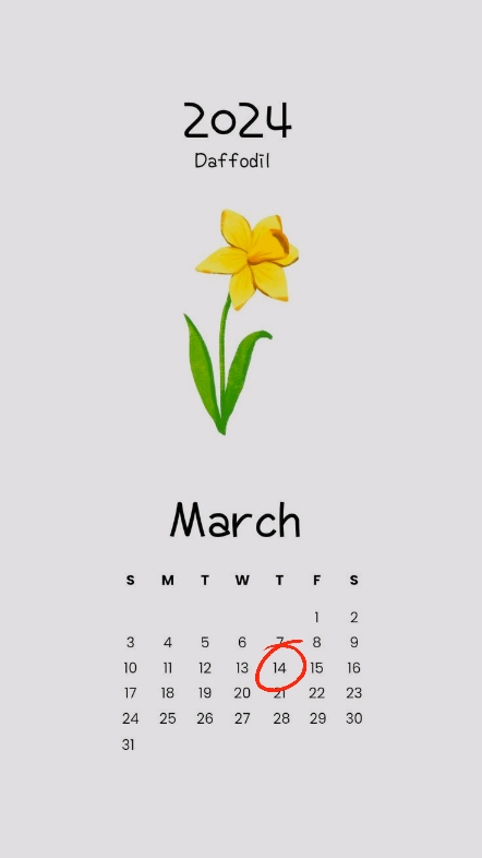 ulangtahun 14 maret
