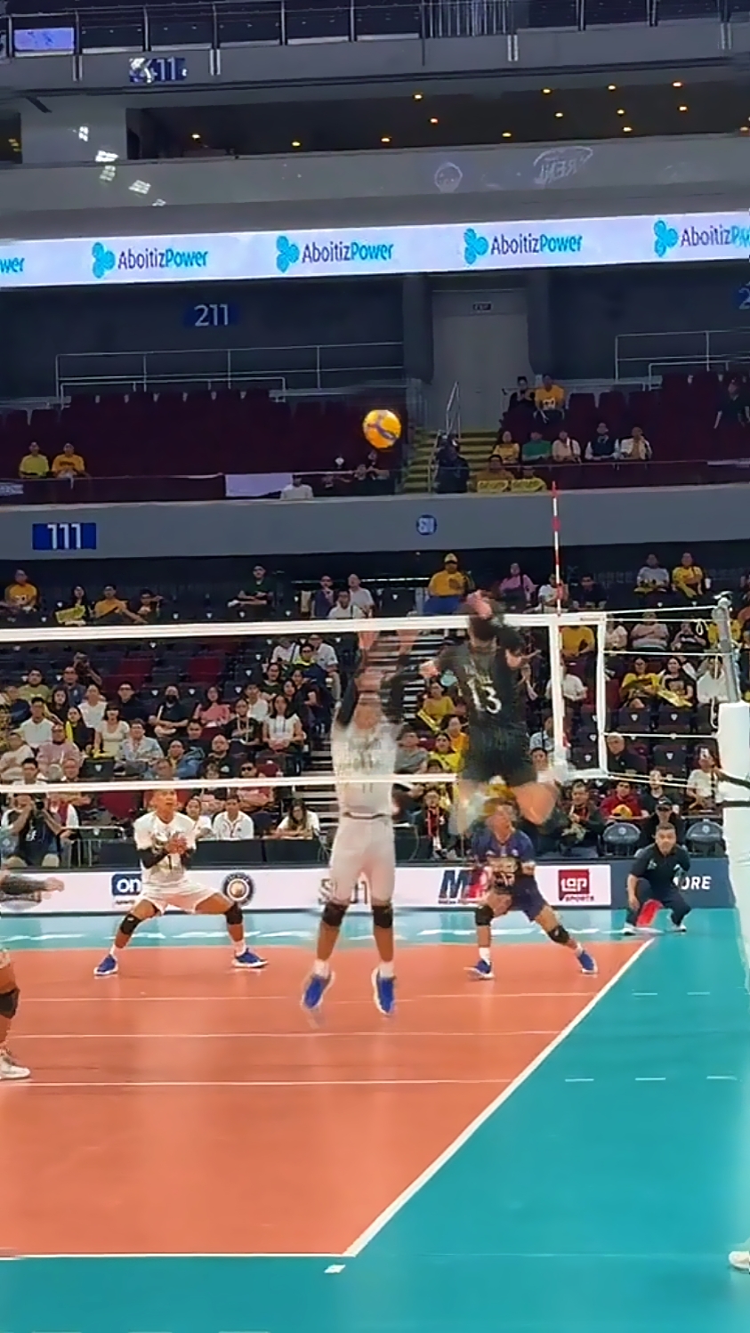 Lo más destacado del voleibol