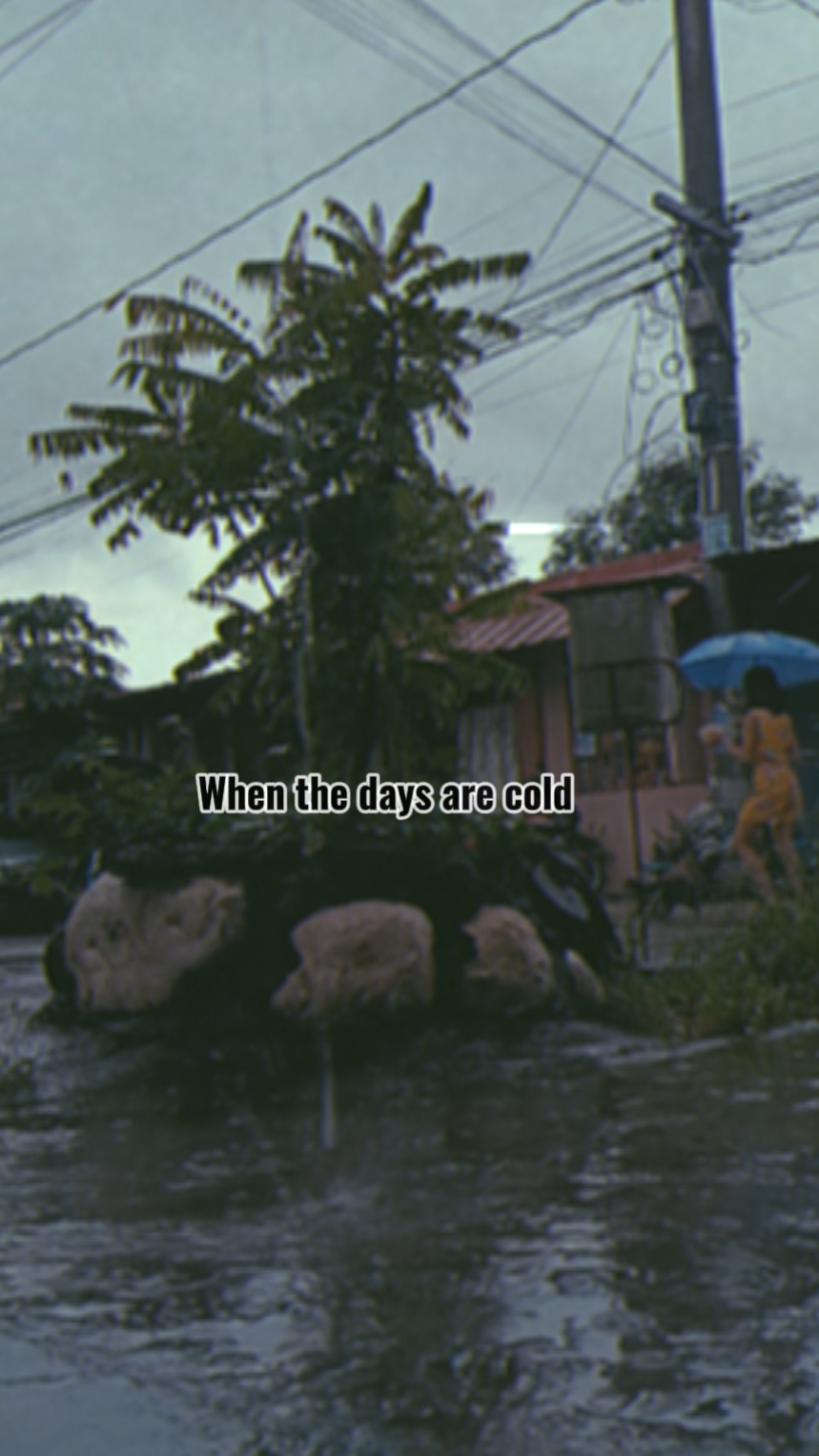 Rainy days vibes 