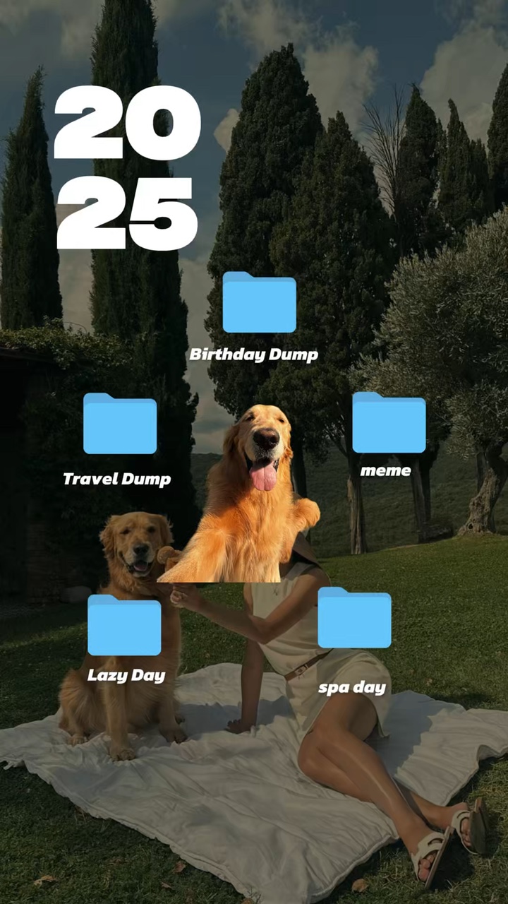 2025 dog recap