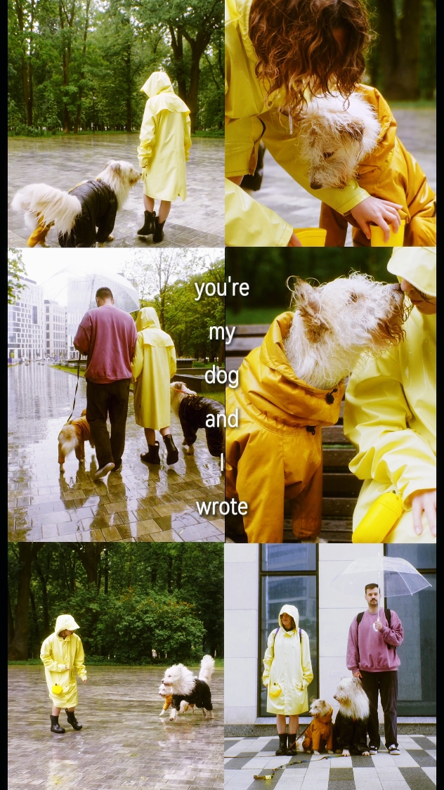 Du bist mein Hund