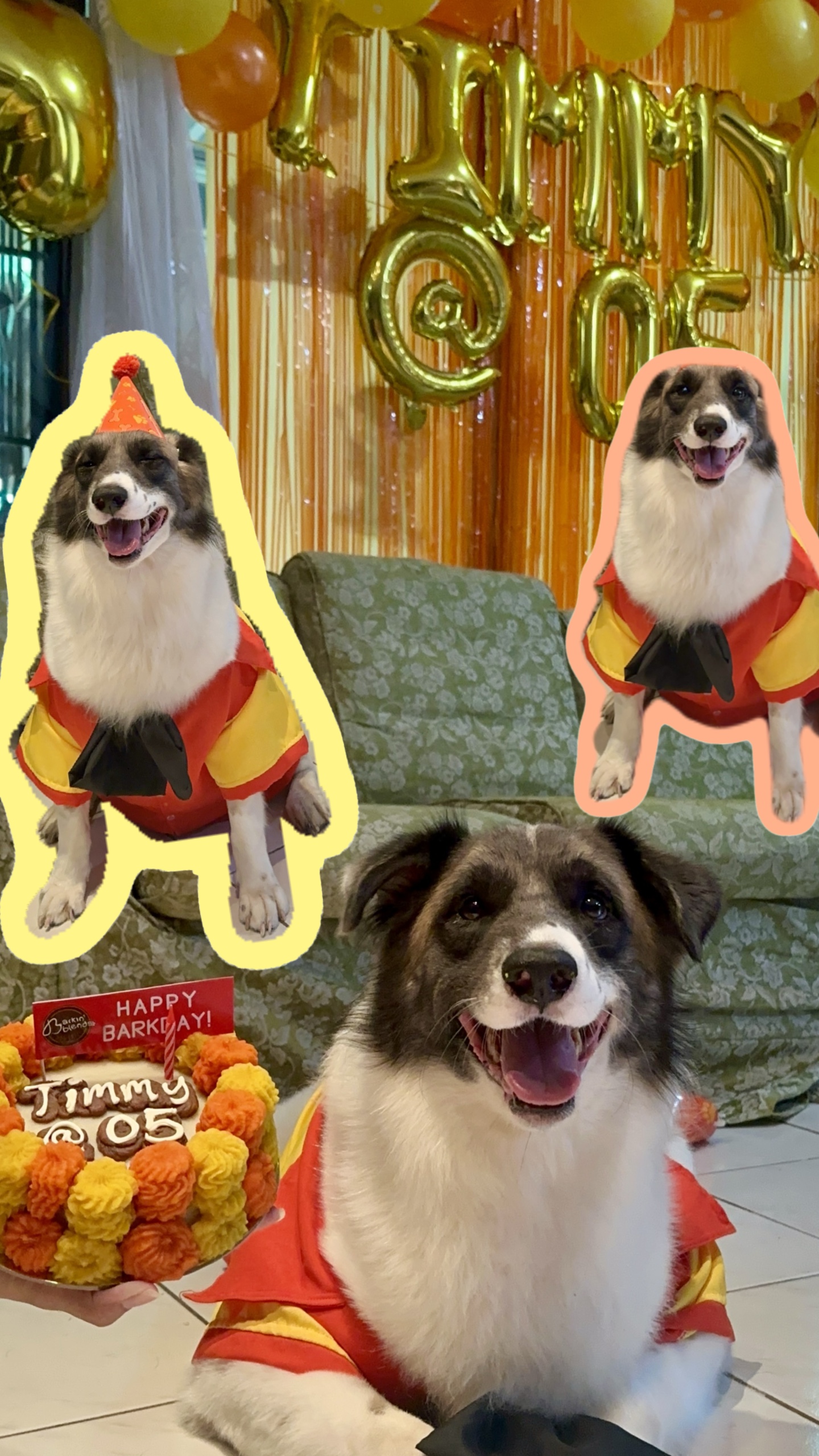 Fröhlicher Barkday