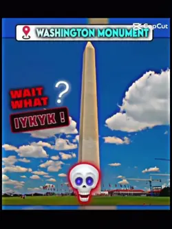 moai theory 