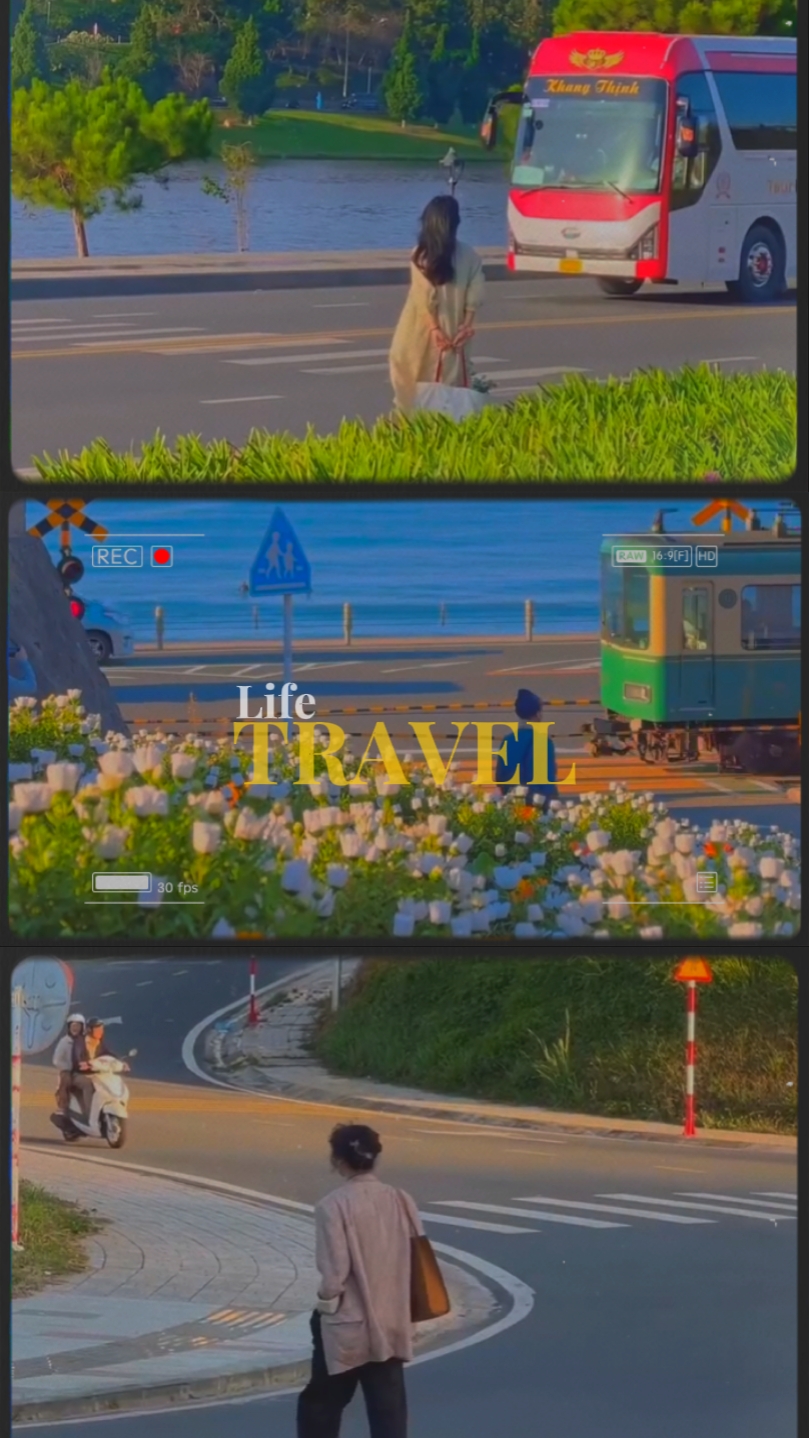 Viaje de vida
