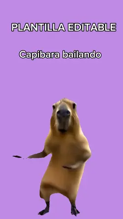 Capibara bailando 