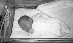 Your First Born...
