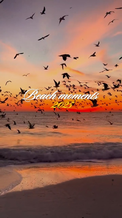 Moments de plage 2025