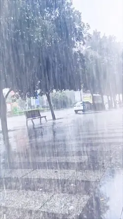 Rain 