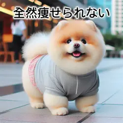 ダイエット