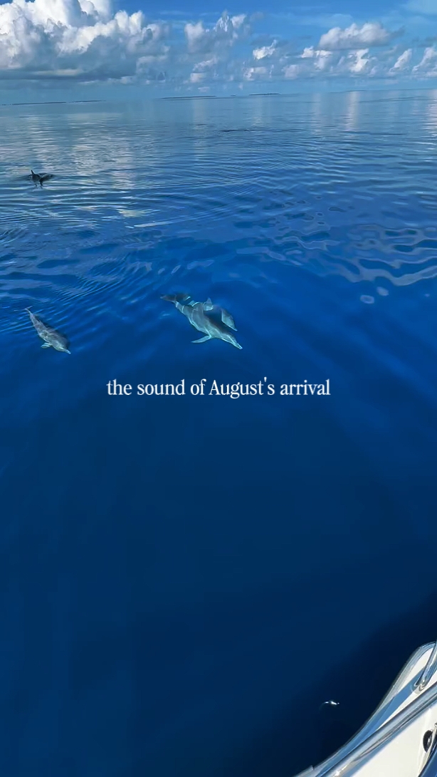 August' arrival