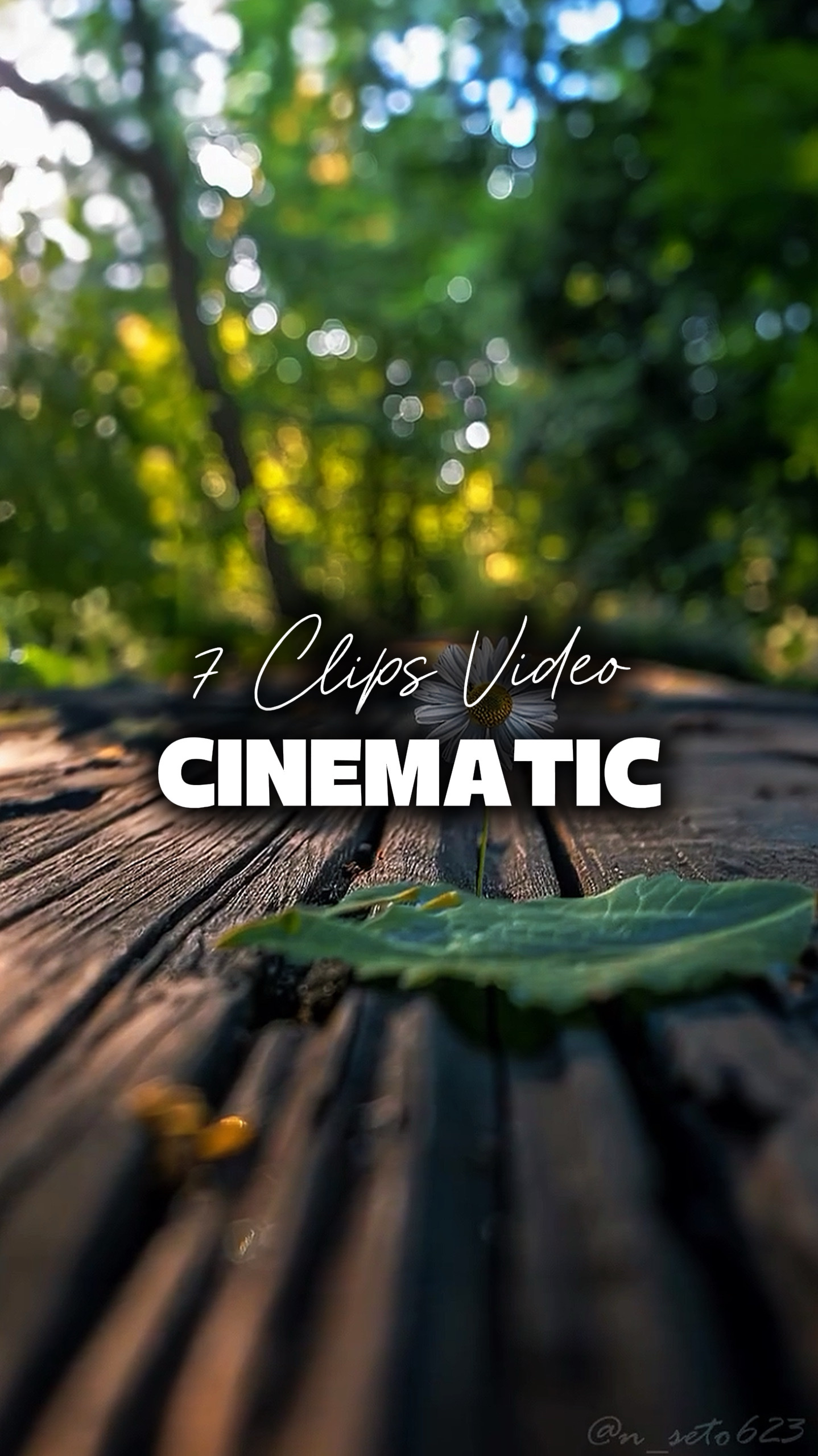 7 Vídeos Cinematográficos 