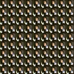 multiple pics