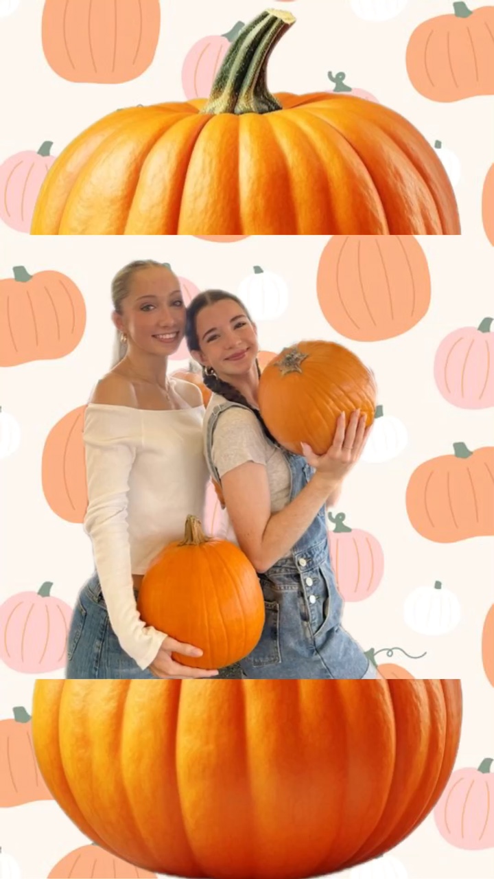 pumpkin season 