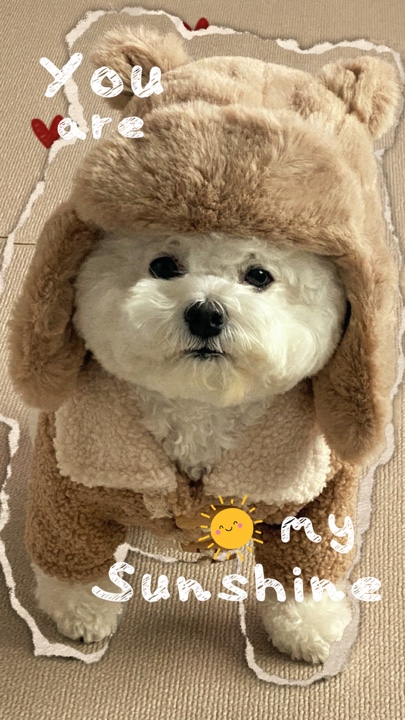당신의 애완동물
