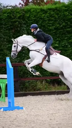I ADORE THIS CLIP