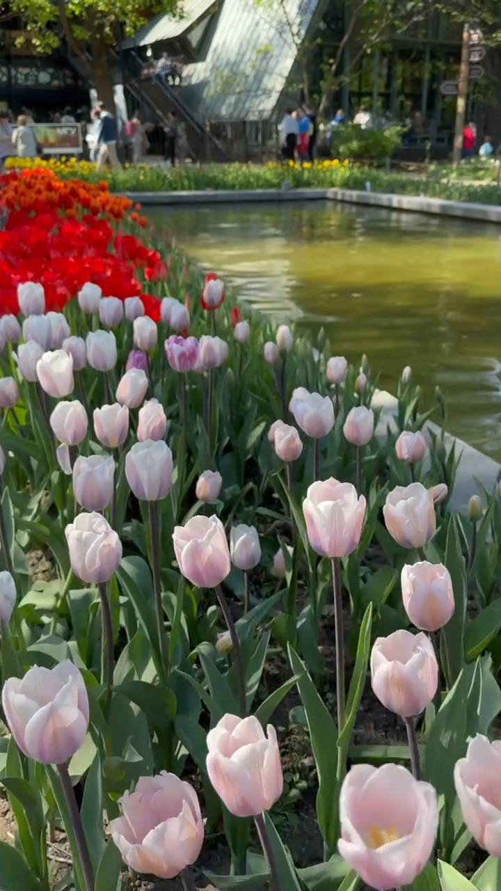 Spring day🌷