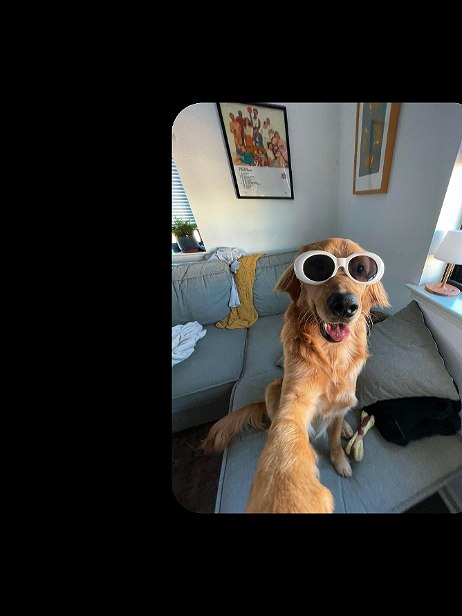 Aura dogi