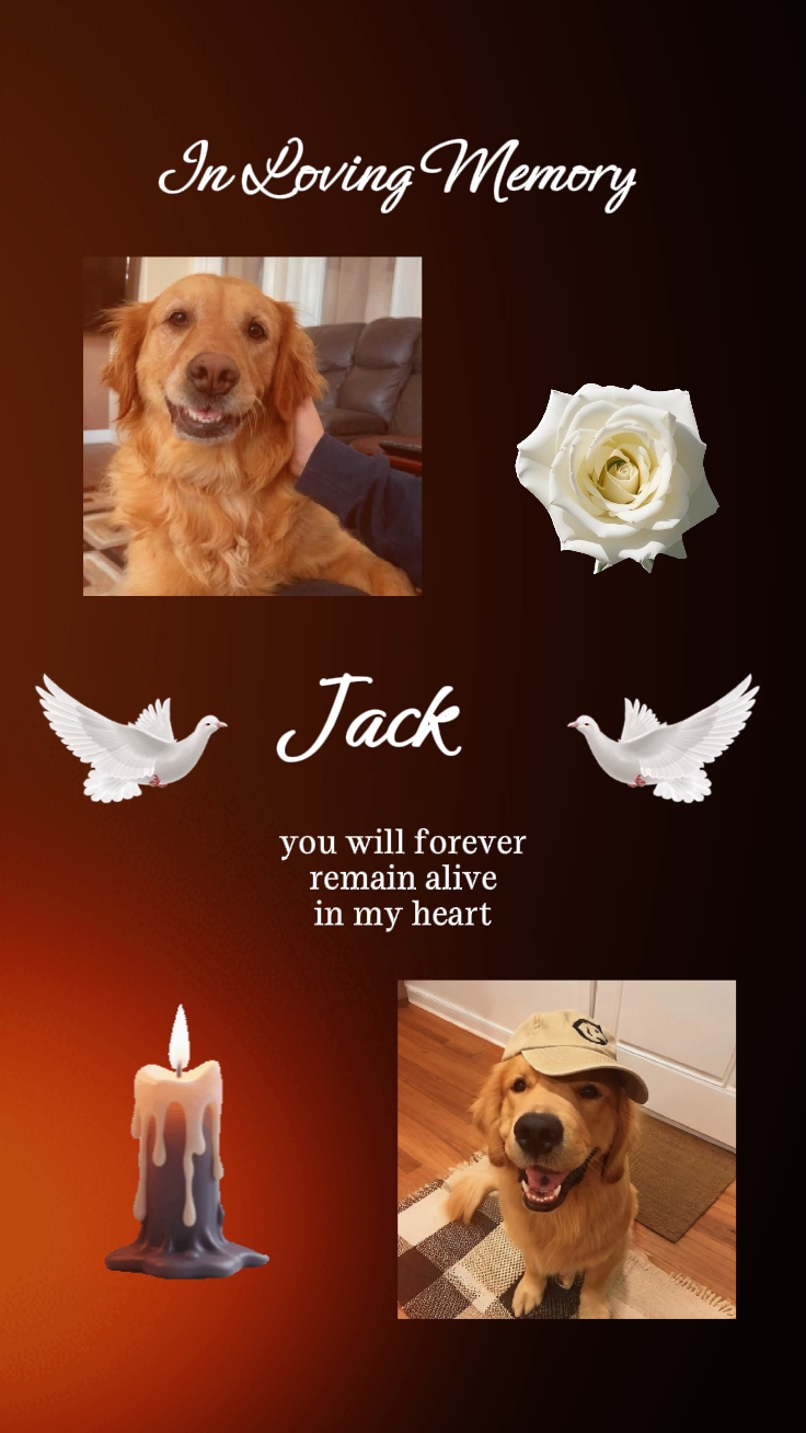 in loving memory 