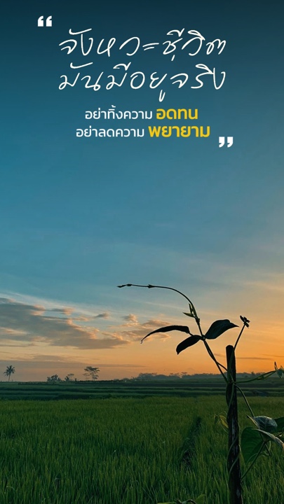 # # fyp # # fyp 