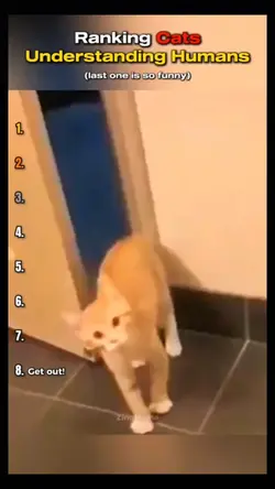 they actuly undrstnd