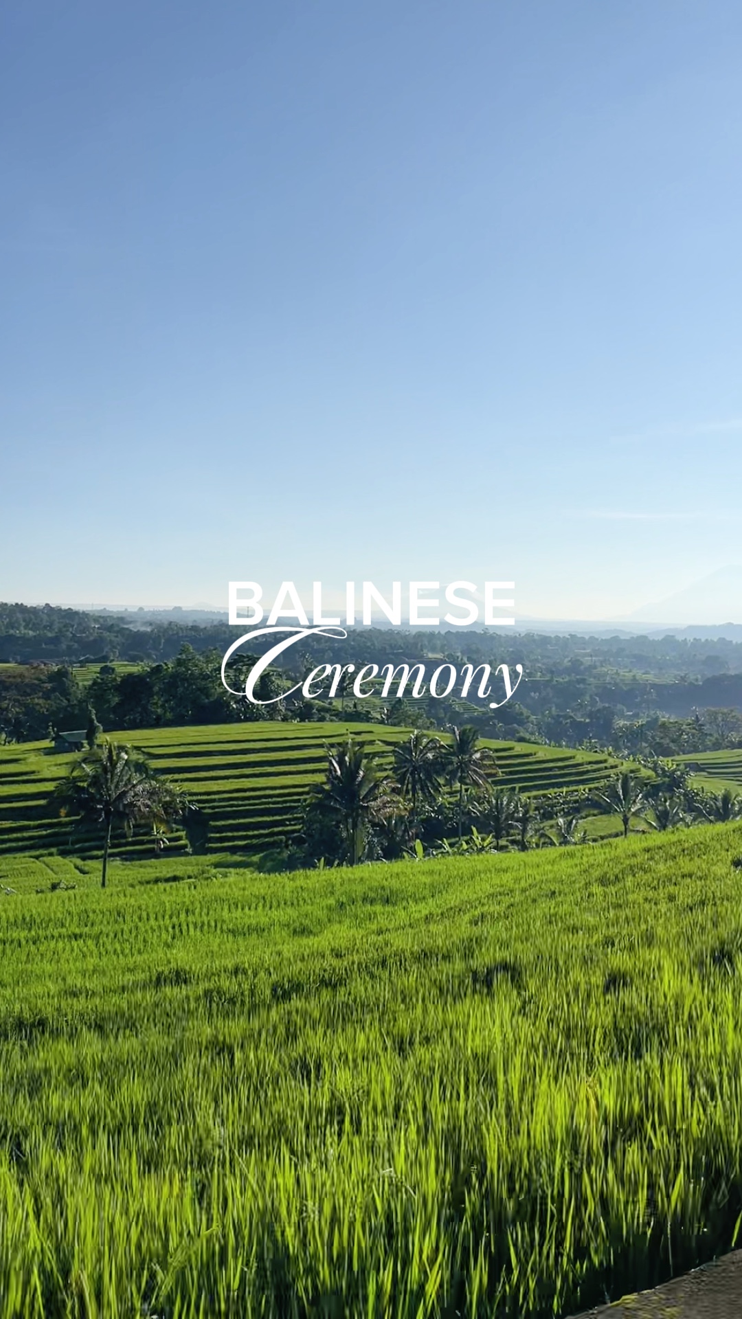 Template Balinese