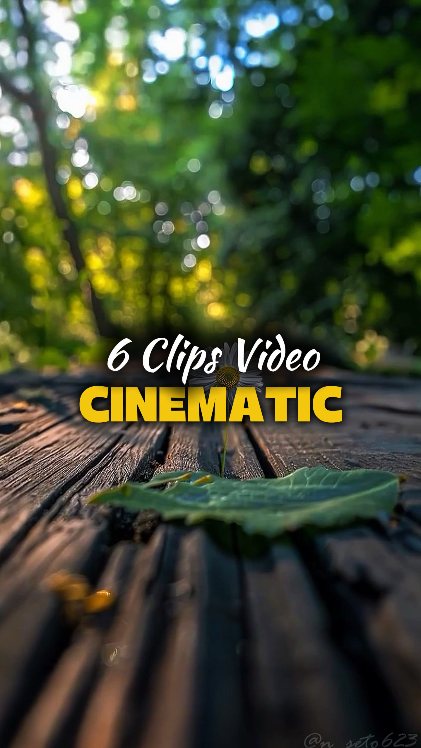 6 Video Sinematik 
