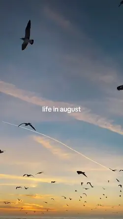 life in august