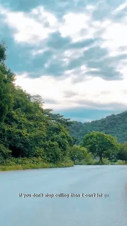 Mẫu 1 video + màu
