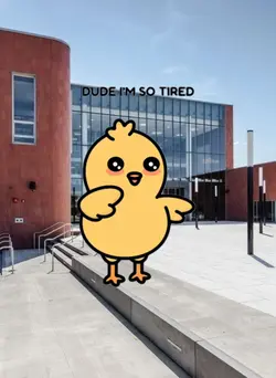 talking bird