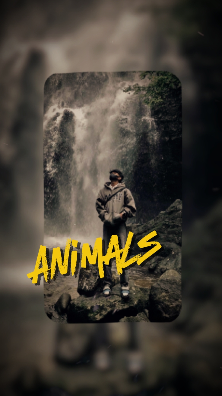WOLLOW EDIT MASTER