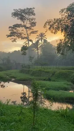sunrise vibes