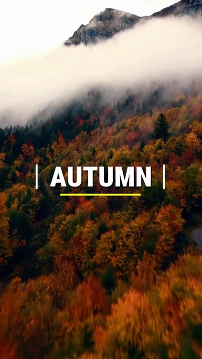 Autumn Aesthetic 