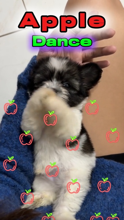 Apple Dance!❤️❤️❤️