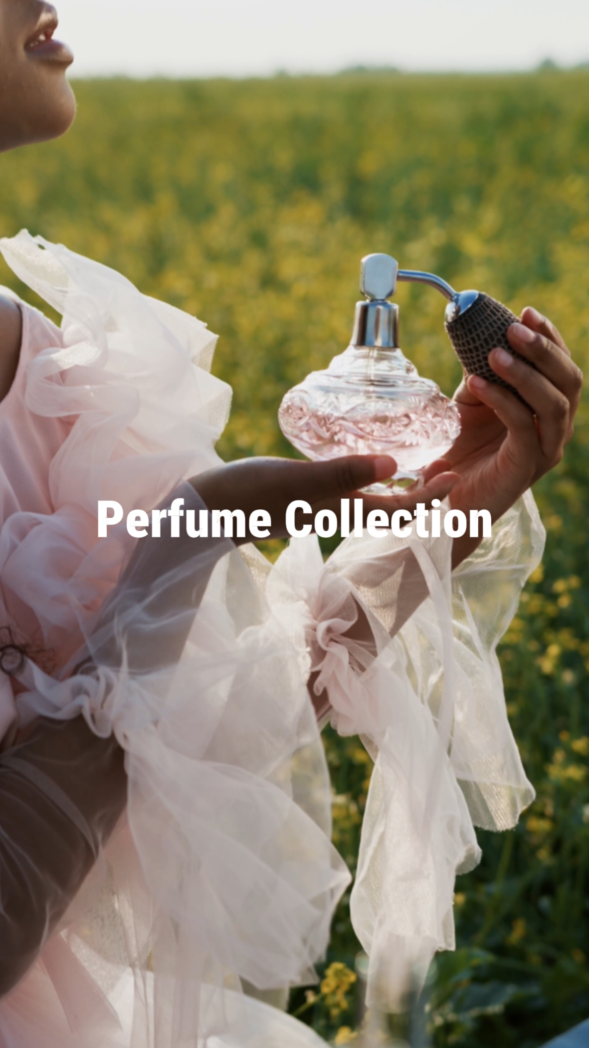 Perfume Collection