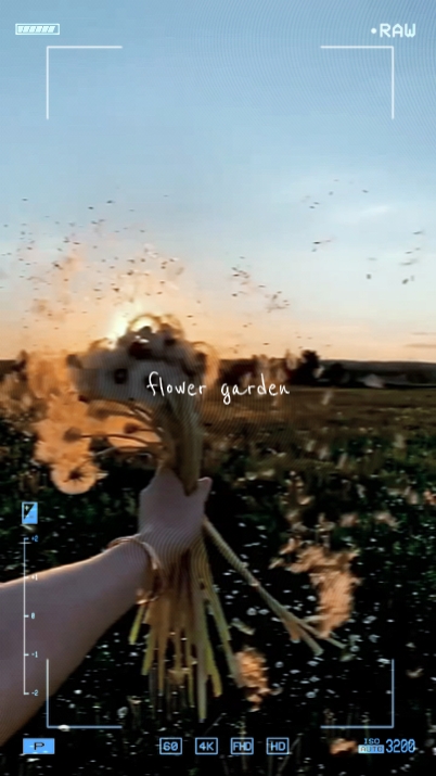 flower garden 