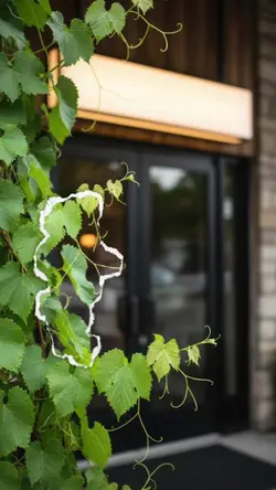 Behind the Dish: Craft Kitchen Cuts